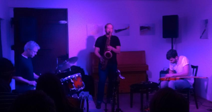 Tree Ear January 10 2014