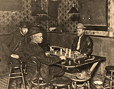 Tree Ear Witches Butter